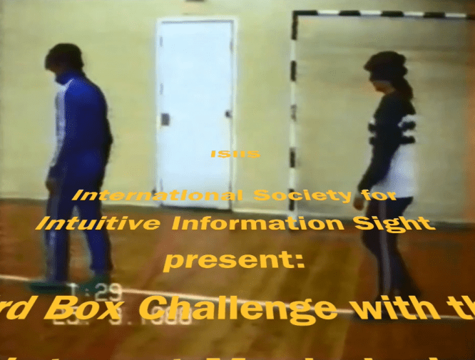 Read more about the article Bionet Orgone Mask