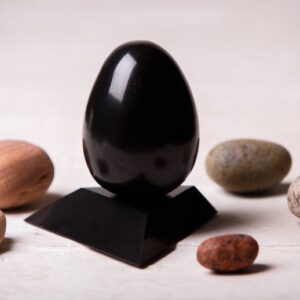 Polished shungite egg