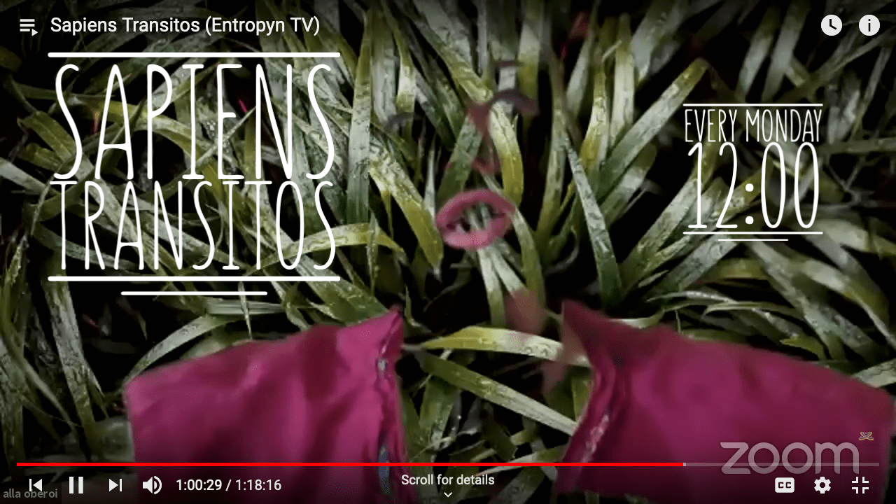 Read more about the article Sapiens Transitos