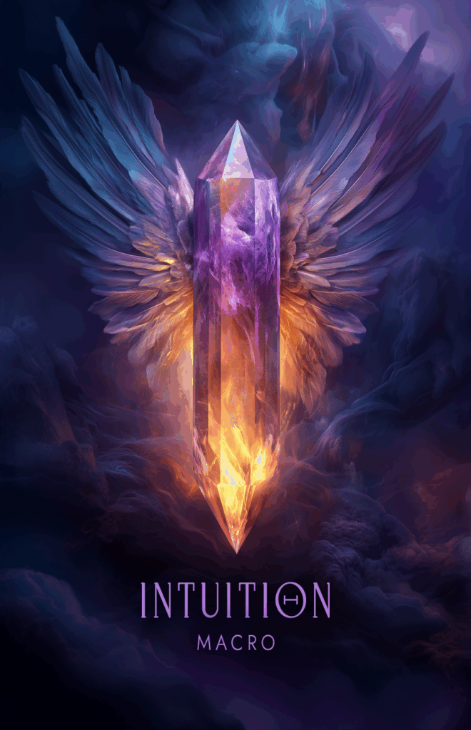 INTUITION MACRO